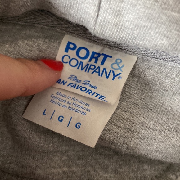 Port & Company University of Delaware Blue Hens Grey Cozy Hoodie - Picture 2 of 2